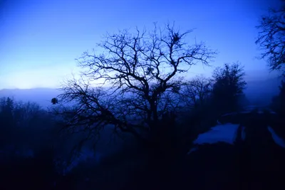 DSC_1087 (Large).JPG